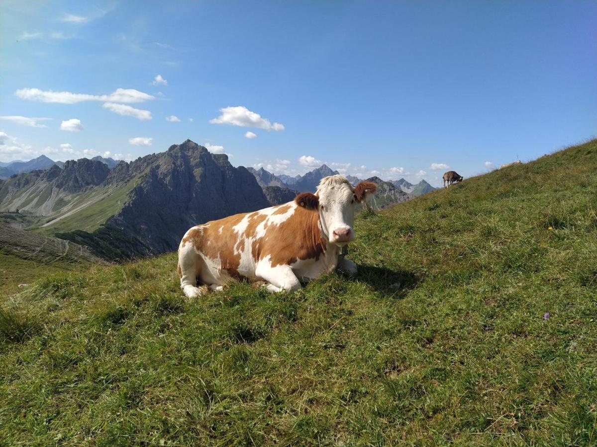 Ferienwohnung Zum Bartelt Hohenschwangau Exteriér fotografie