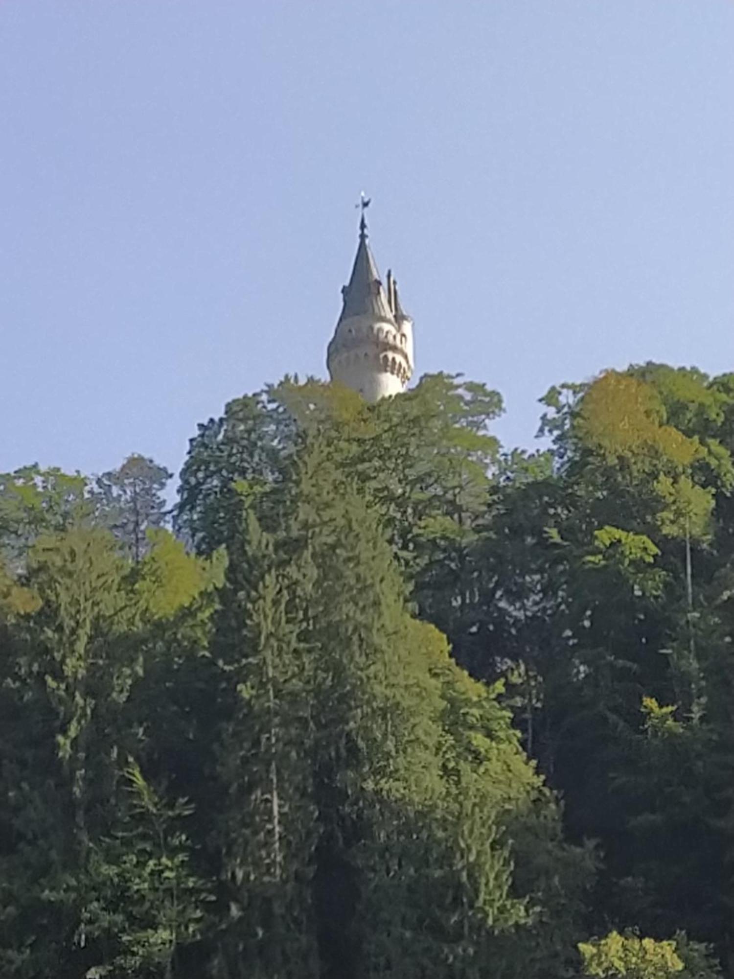 Ferienwohnung Zum Bartelt Hohenschwangau Exteriér fotografie